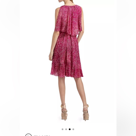 Cynthia Steffe Carey Silk Chiffon Fuchsia Printed Ruffle Lined Dress size 10 - Picture 2 of 15